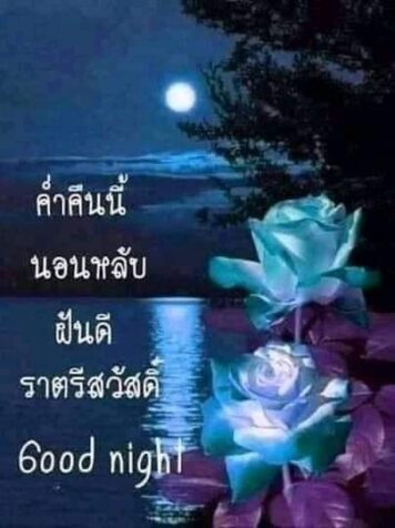 ราตรีสวัสดิ์วันเสาร์ (27) ราตรีสวัสดิ์วันเสาร์ รูปสวยๆ ส่งความคิดถึง ห่วงใย ฝันดี ก่อนนอน