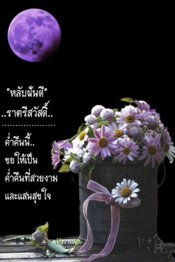 ราตรีสวัสดิ์วันเสาร์ (6) ราตรีสวัสดิ์วันเสาร์ รูปสวยๆ ส่งความคิดถึง ห่วงใย ฝันดี ก่อนนอน