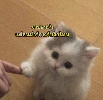 inlove-memes (18) มีมคลั่งรัก มาบอกรัก