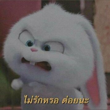 inlove-memes (32) มีมคลั่งรัก ไม่รักหรอ ต่อย