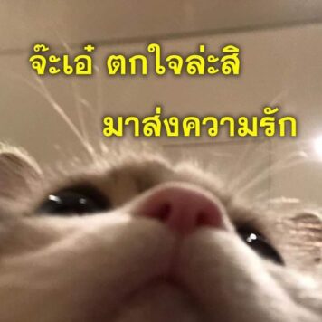 inlove-memes (34) มีมคลั่งรัก มาส่งความรัก