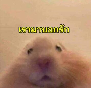 inlove-memes (37) มีมคลั่งรัก มาบอกรัก