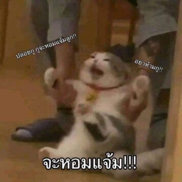 inlove-memes (70) มีมคลั่งรัก จะหอมแจ้ม