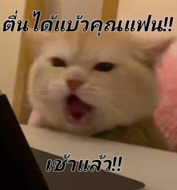 inlove-memes (71) มีมคลั่งรัก ตื่นได้แบ้ว