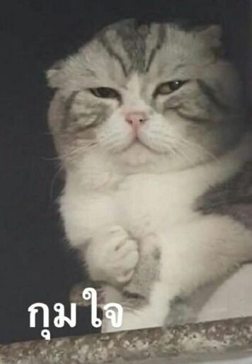 inlove-memes (80) มีมคลั่งรัก กุมใจ