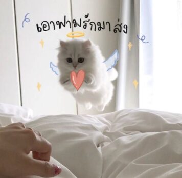 inlove-memes (82) มีมคลั่งรัก เอาฟามรักมาส่ง