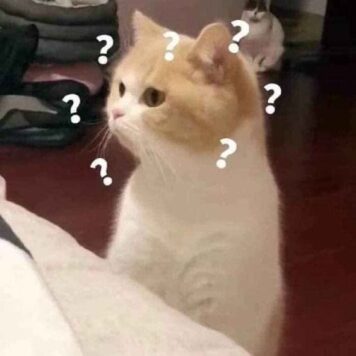 รูปภาพ มีมแมว สงสัย