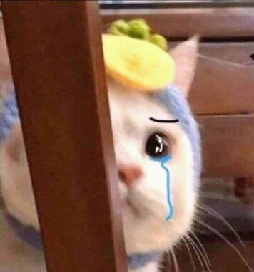 รูปภาพ มีมแมว งื้อ