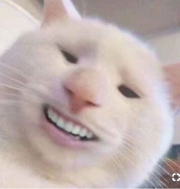 มีมแมว ยิ้มเห็นฟัน