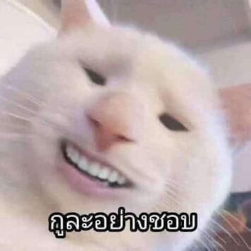 มีมแมว กูละอย่างชอบ
