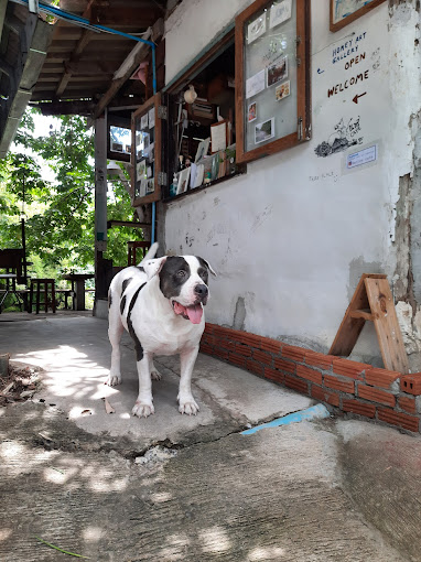 คาเฟ่สุพรรณบุรี ณ ทรี คาเฟ่