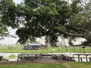 คาเฟ่สุพรรณบุรี สองพี่น้อง ขจี คาเฟ่