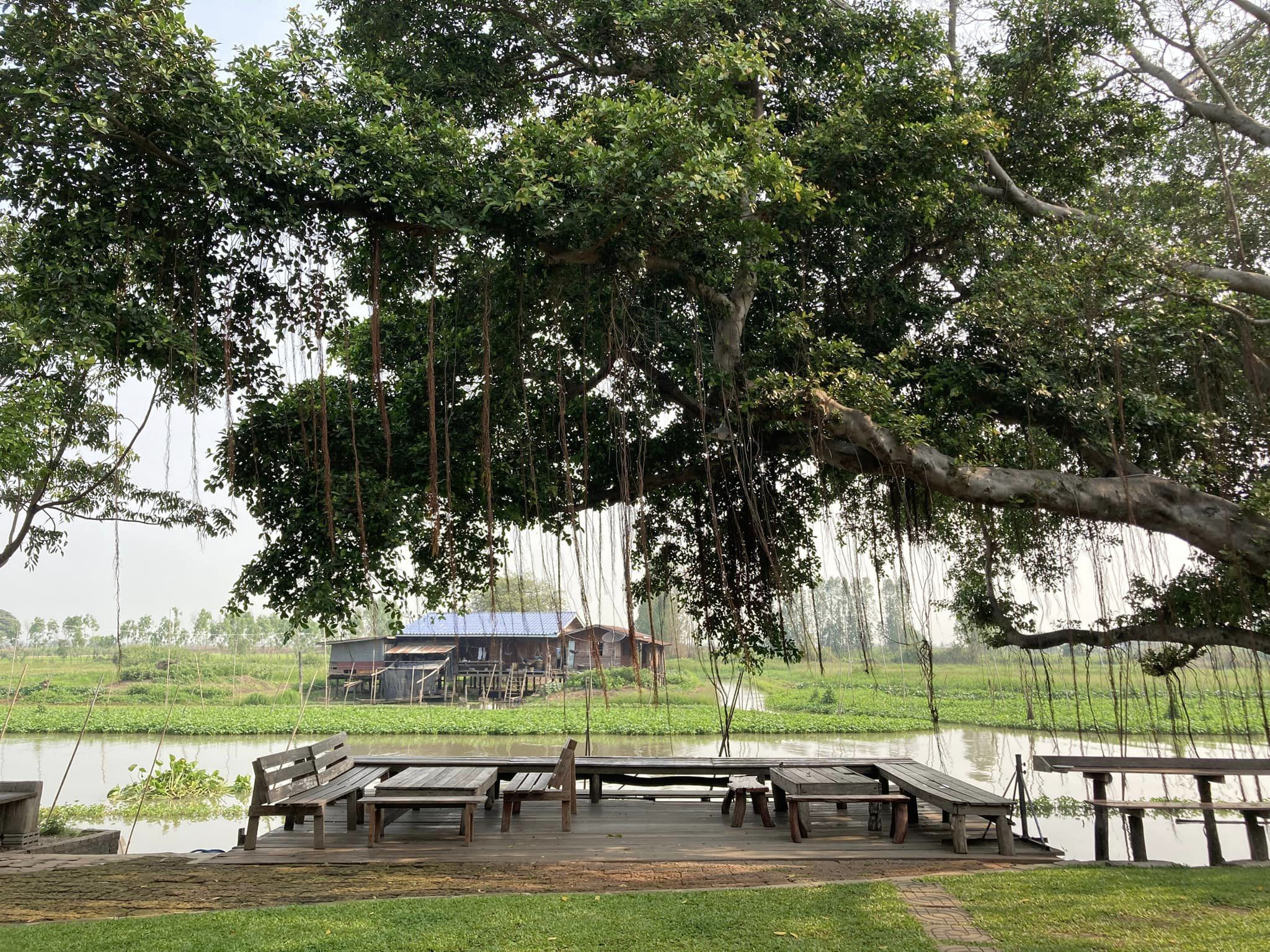 คาเฟ่สุพรรณบุรี สองพี่น้อง ขจี คาเฟ่