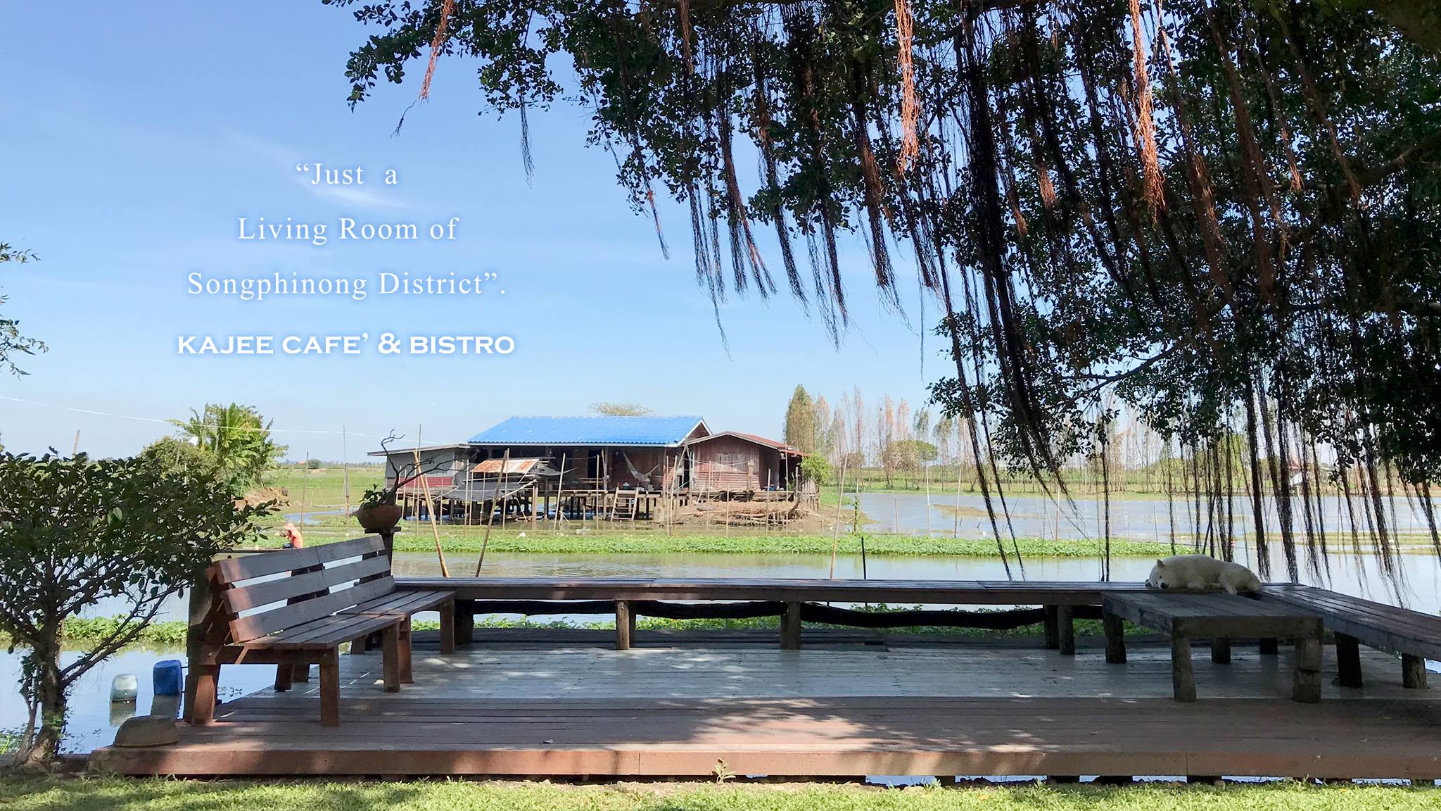 คาเฟ่สุพรรณบุรี สองพี่น้อง ขจี คาเฟ่