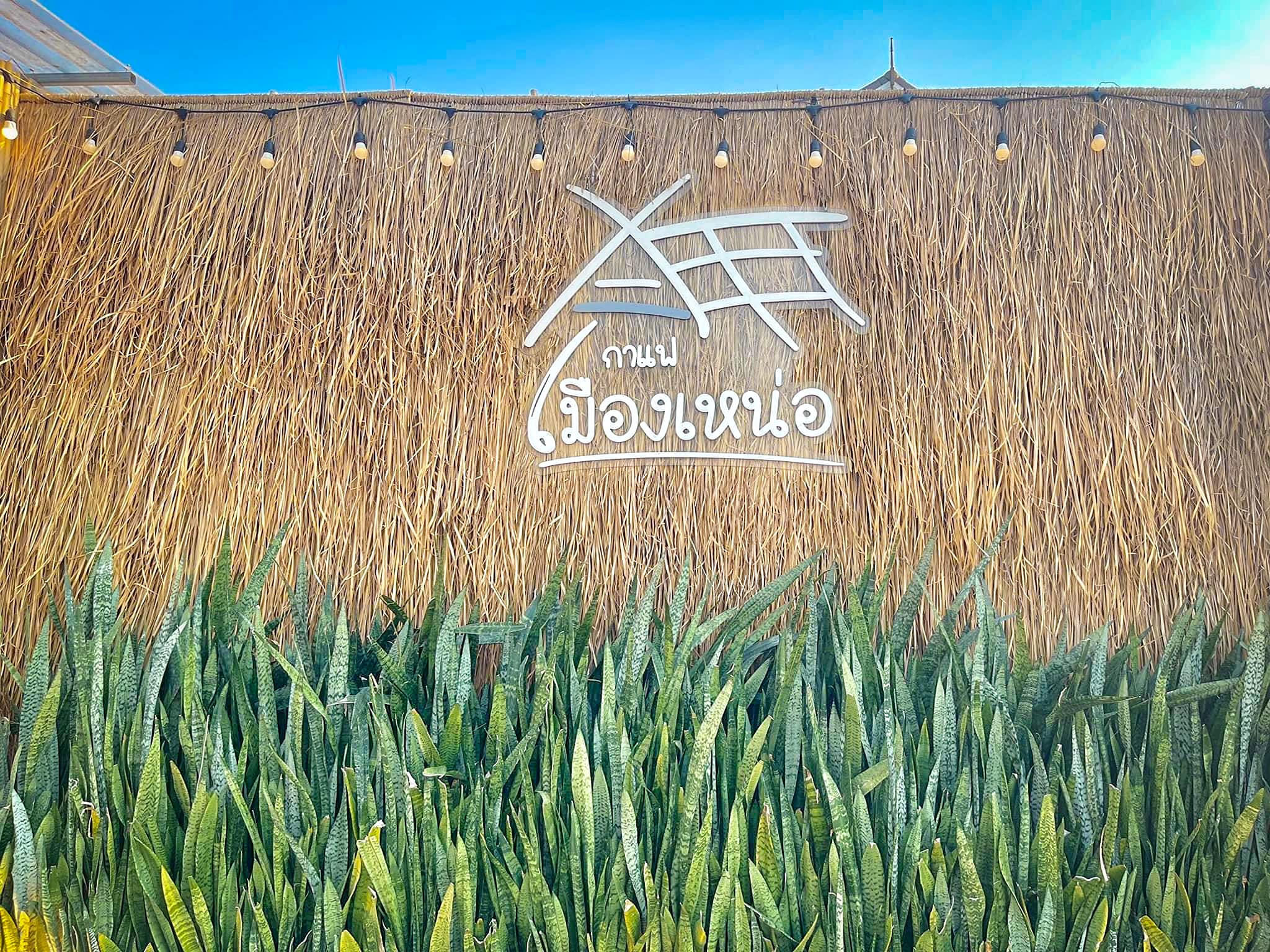 คาเฟ่สุพรรณบุรี กาแฟเมืองเหน่อ