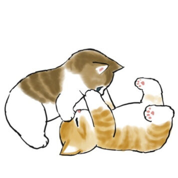 รูปการ์ตูนแมว น่ารัก