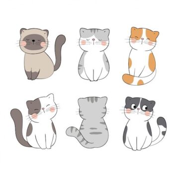 รูปการ์ตูนแมว วาดง่าย