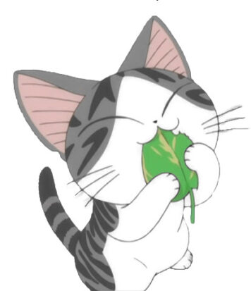 รูปการ์ตูนแมวจี้