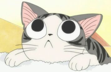 รูปการ์ตูนแมวจี้