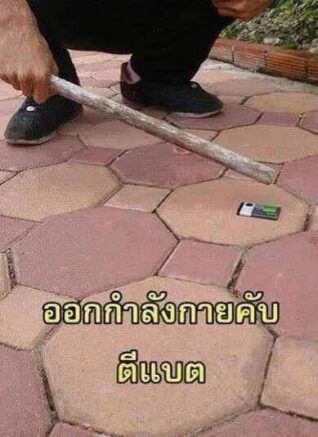 ภาพฮาๆ กวนๆ ตีแบต