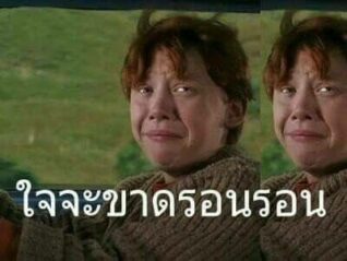 รูปตลกฮาๆ ใจจะขาด