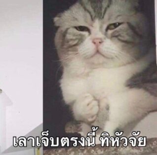 รูปภาพฮาๆ เจ็บตรงนี้