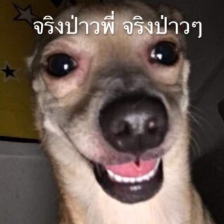 รูปตลกฮาๆ จริงป่าว