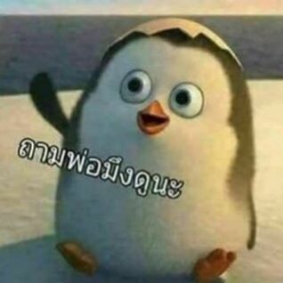 รูปตลกฮาๆ ถามพ่อมึง