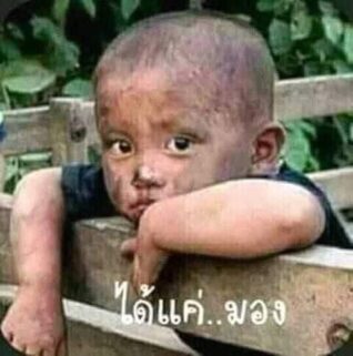 รูปตลกฮาๆ ได้แค่มอง