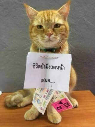 รูปตลกฮาๆ หวยแดก