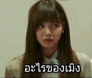 รูปภาพฮาๆ อะไรของเมิง