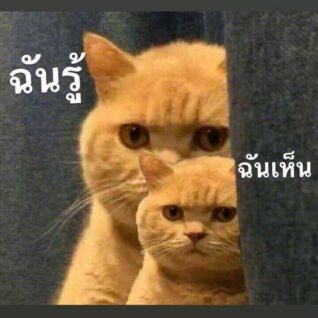 รูปภาพ ตลกๆ ฉันรู้