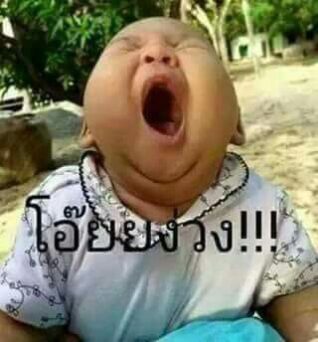 ภาพ ตลก ๆ ง่วง