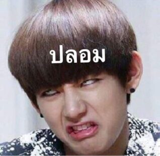 ภาพ ตลก ๆ ปลอม