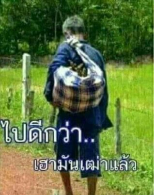 รูปตลกๆ กวนๆ ไปดีกว่า