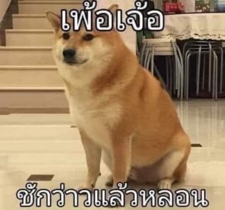 รูปตลกๆ กวนๆ หลอน