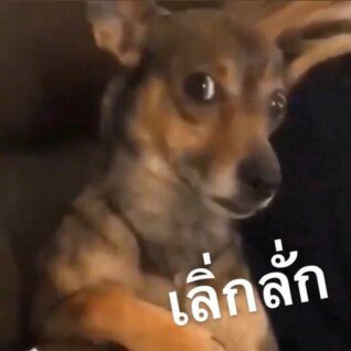 รูปภาพตลกๆกวนๆ เลิ่กลั่ก