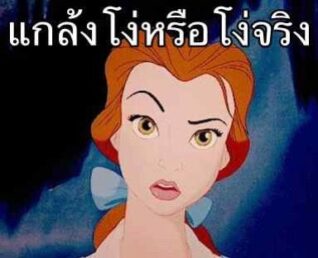 รูปภาพตลกๆกวนๆ แกล้งโง่