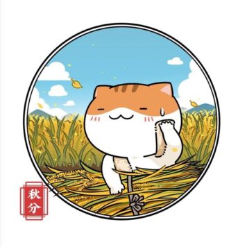 รูปการ์ตูนแมว ญี่ปุ่น