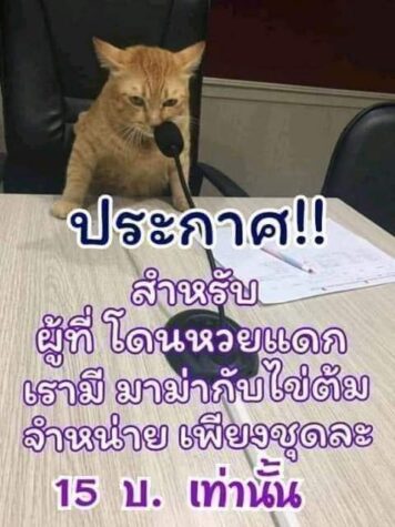 รูปภาพ มีม หวย กวนๆ ฮาๆ หวยกิน ขำๆ