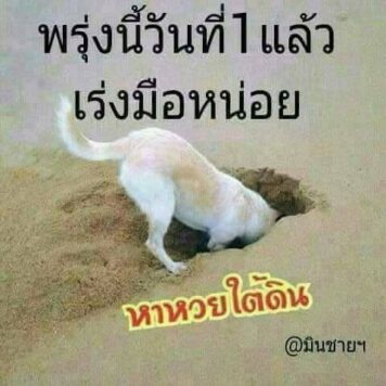 รูปภาพ มีม หวย กวนๆ ฮาๆ หวยกิน ขำๆ