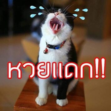 รูปภาพ มีม หวย กวนๆ ฮาๆ หวยกิน ขำๆ