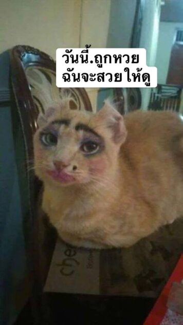 รูปภาพ มีม หวย กวนๆ ฮาๆ หวยกิน ขำๆ