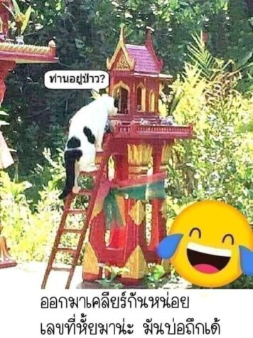 รูปภาพ มีม หวย กวนๆ ฮาๆ หวยกิน ขำๆ