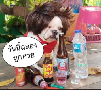 รูปภาพ มีม หวย กวนๆ ฮาๆ หวยกิน ขำๆ