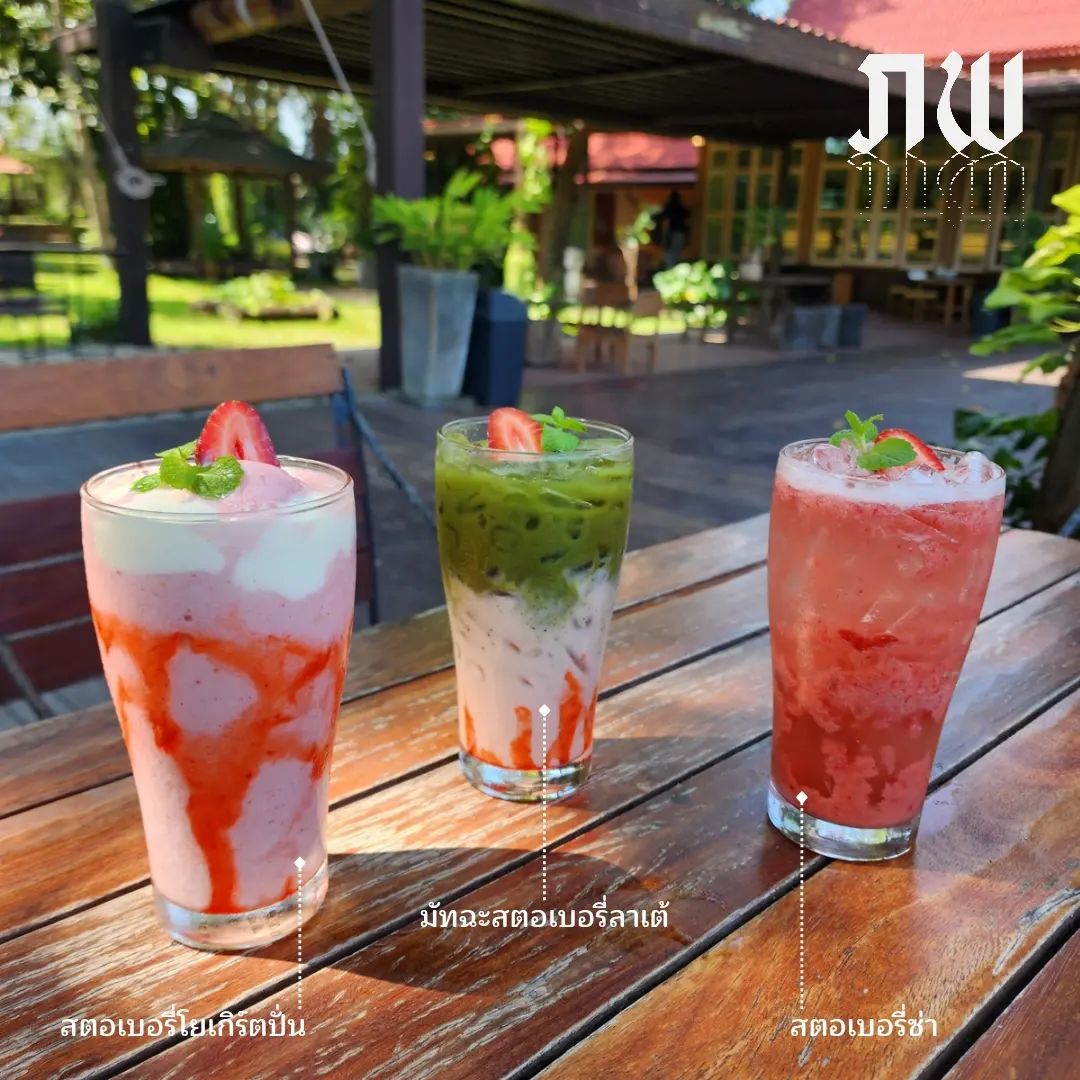 คาเฟ่สุพรรณบุรี ภพ คาเฟ่