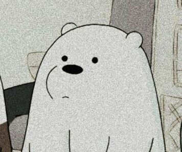 รูปโปร หมีขาว สามหมีจอมป่วน