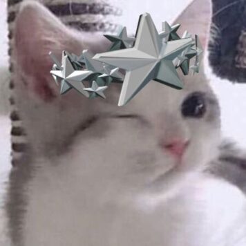 รูปภาพ รูปโปรไฟล์แมว น่ารักๆ