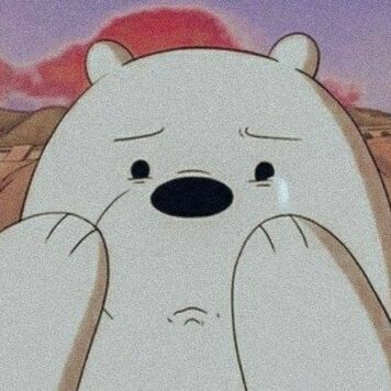 รูปโปร หมีขาว สามหมีจอมป่วน