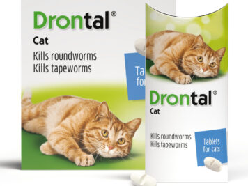 ยาถ่ายพยาธิแมว Drontal cat 
